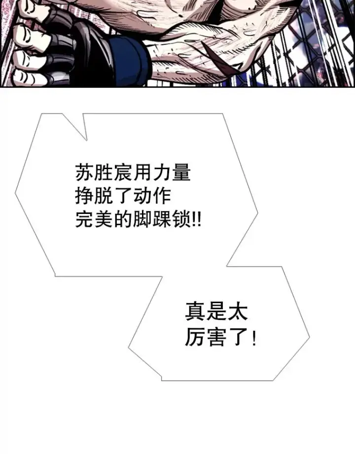 《鲨鱼》223.两条鲨鱼图72