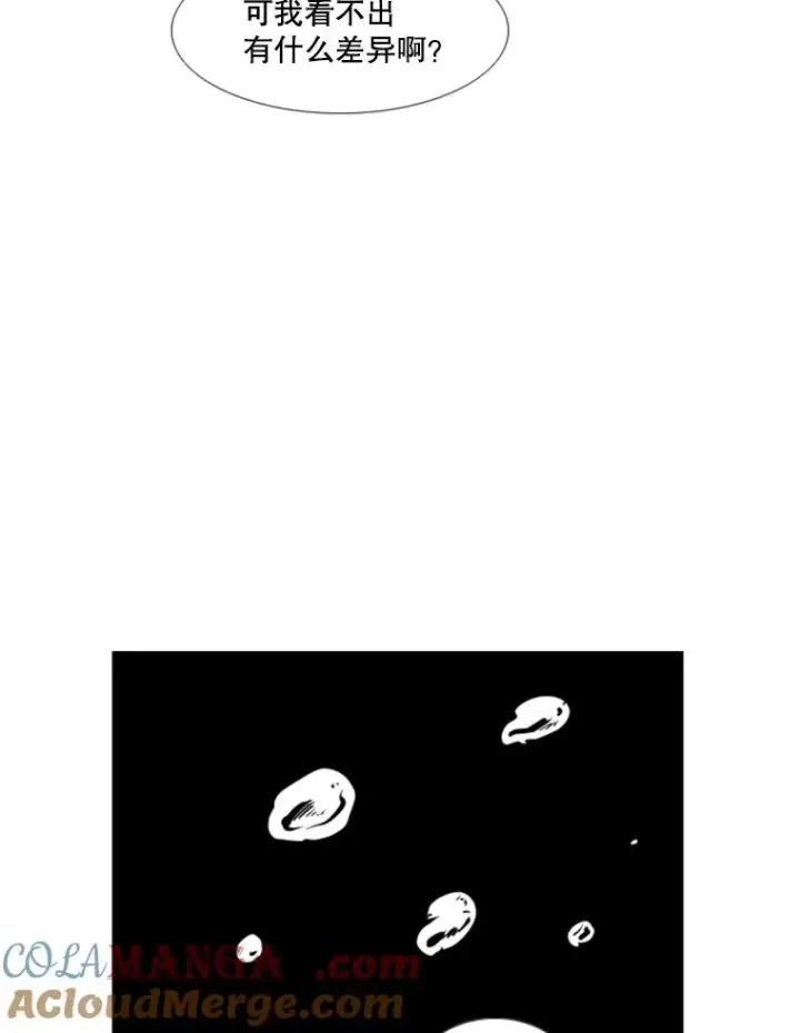 《鲨鱼》223.两条鲨鱼图77