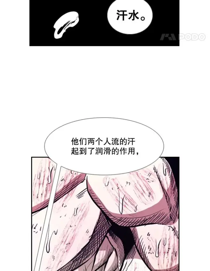 《鲨鱼》223.两条鲨鱼图78