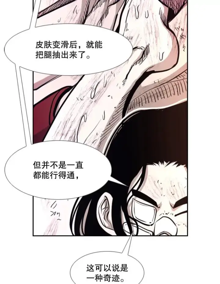 《鲨鱼》223.两条鲨鱼图79