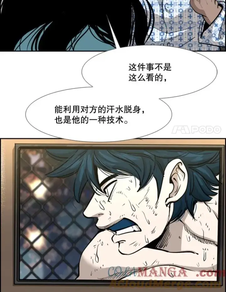 《鲨鱼》223.两条鲨鱼图81