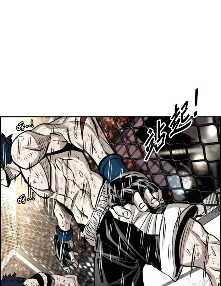 《鲨鱼》223.两条鲨鱼图83