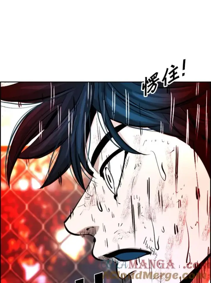 《鲨鱼》223.两条鲨鱼图85