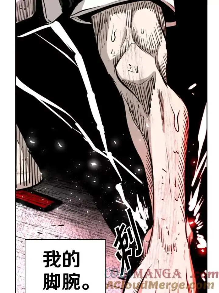 《鲨鱼》223.两条鲨鱼图89