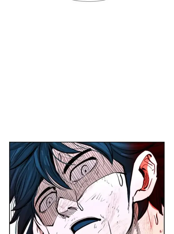 《鲨鱼》223.两条鲨鱼图92