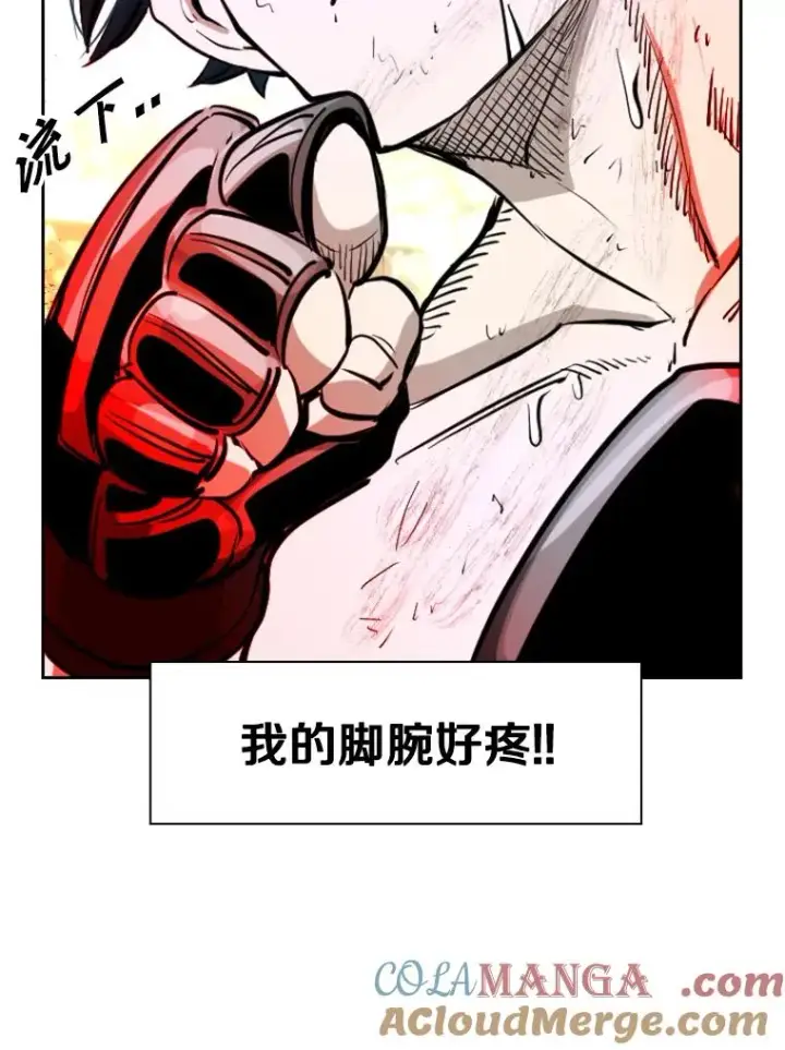 《鲨鱼》223.两条鲨鱼图93