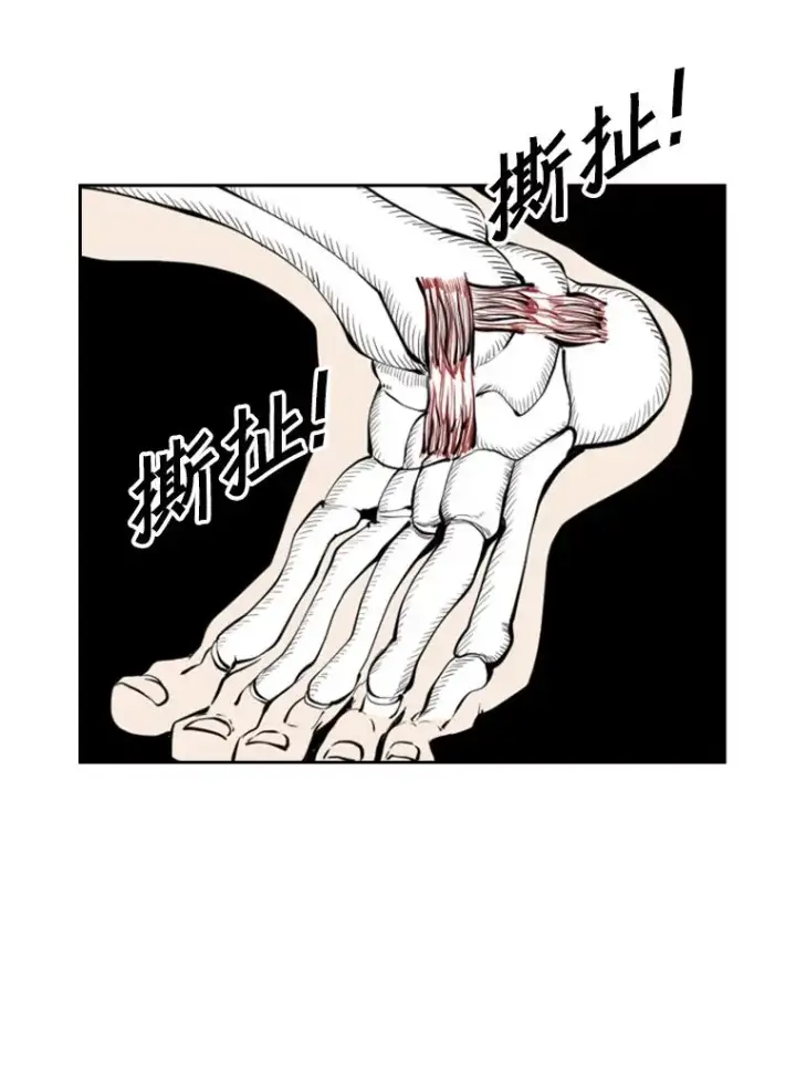 《鲨鱼》225.今天就是昨天的明天图158