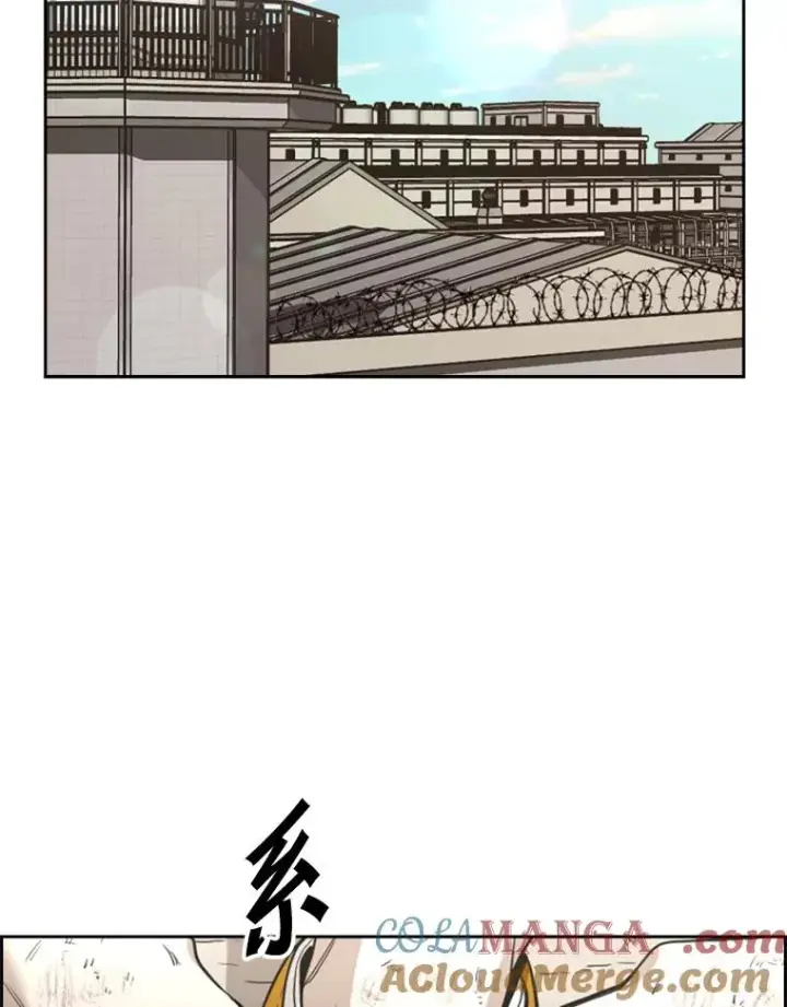 《鲨鱼》226.恭喜你，冠军！图65