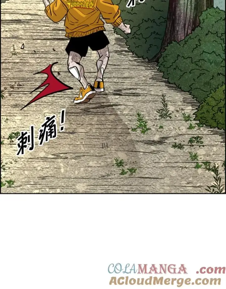 《鲨鱼》226.恭喜你，冠军！图73
