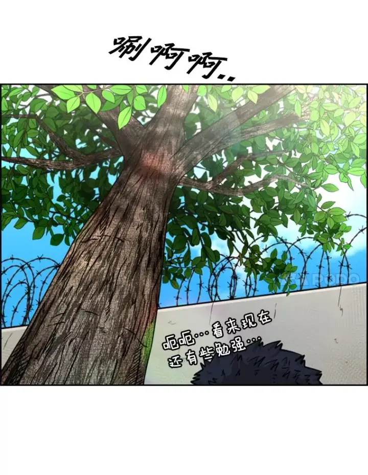 《鲨鱼》226.恭喜你，冠军！图74