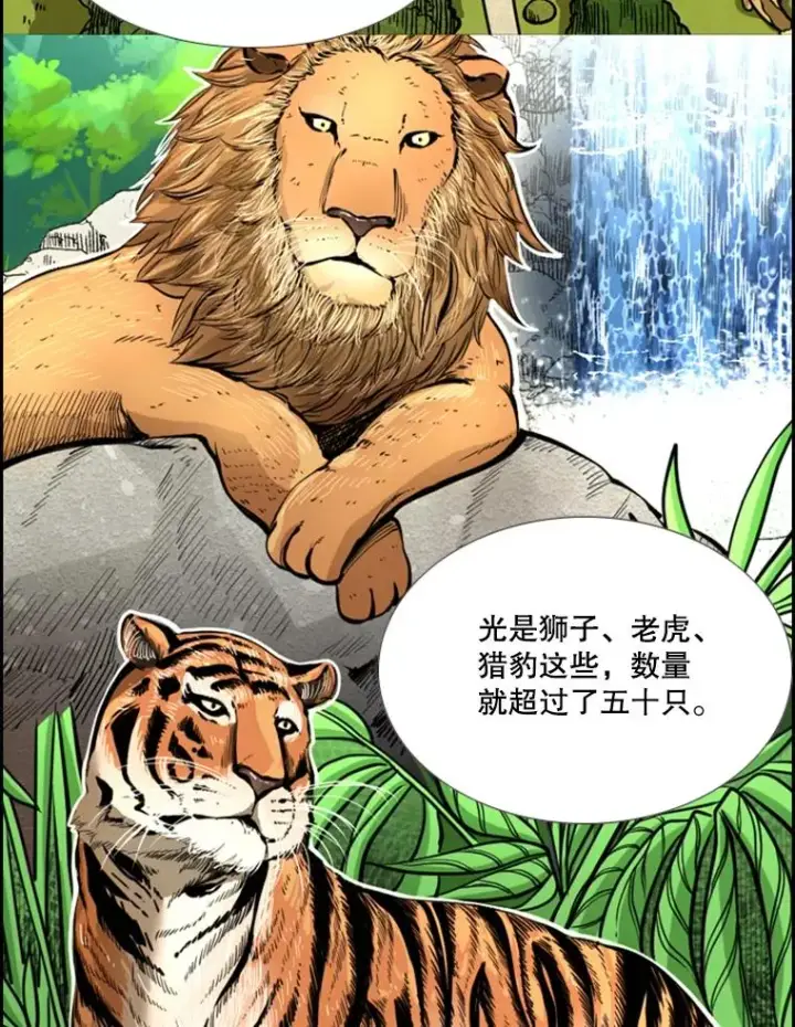 《鲨鱼》228.三大挑战者（下）图20