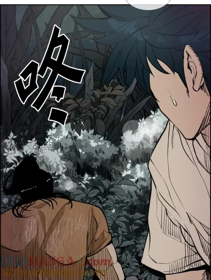 《鲨鱼》240.林中作战图109