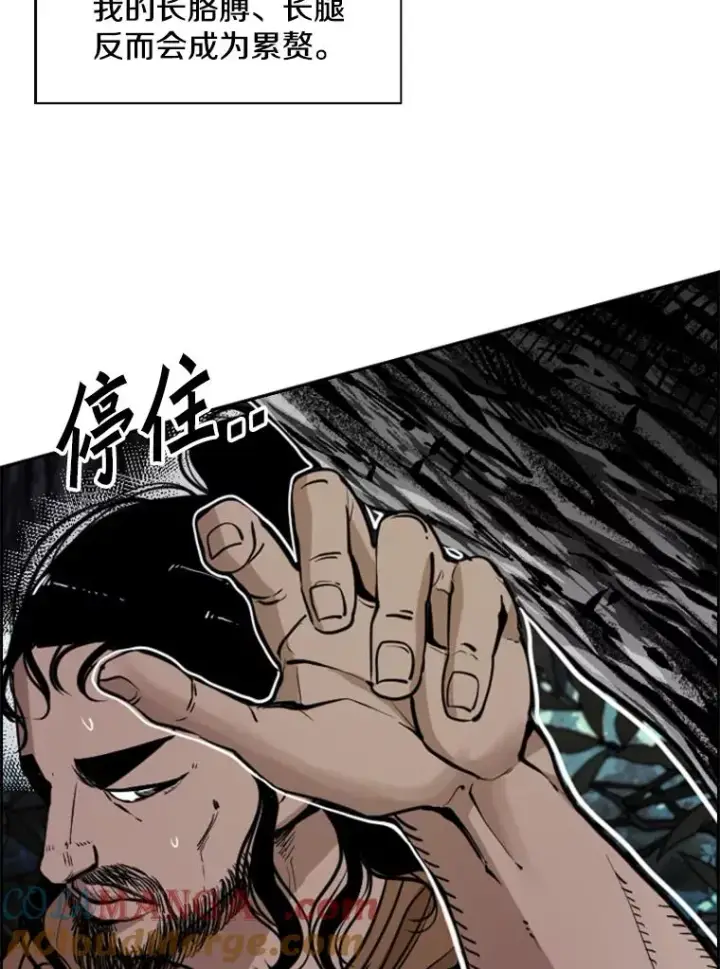 《鲨鱼》240.林中作战图49