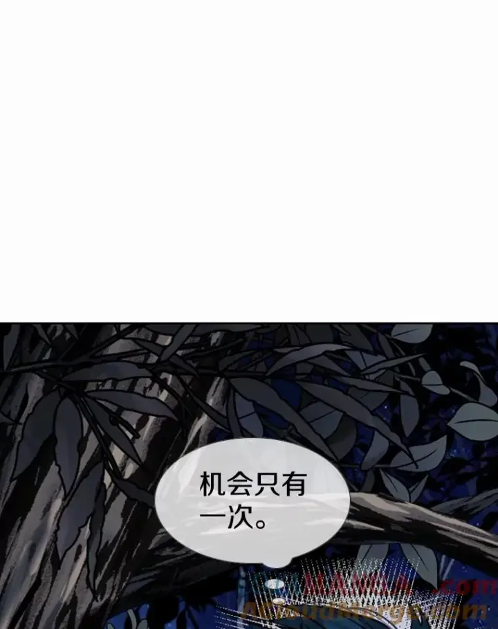 《鲨鱼》240.林中作战图77