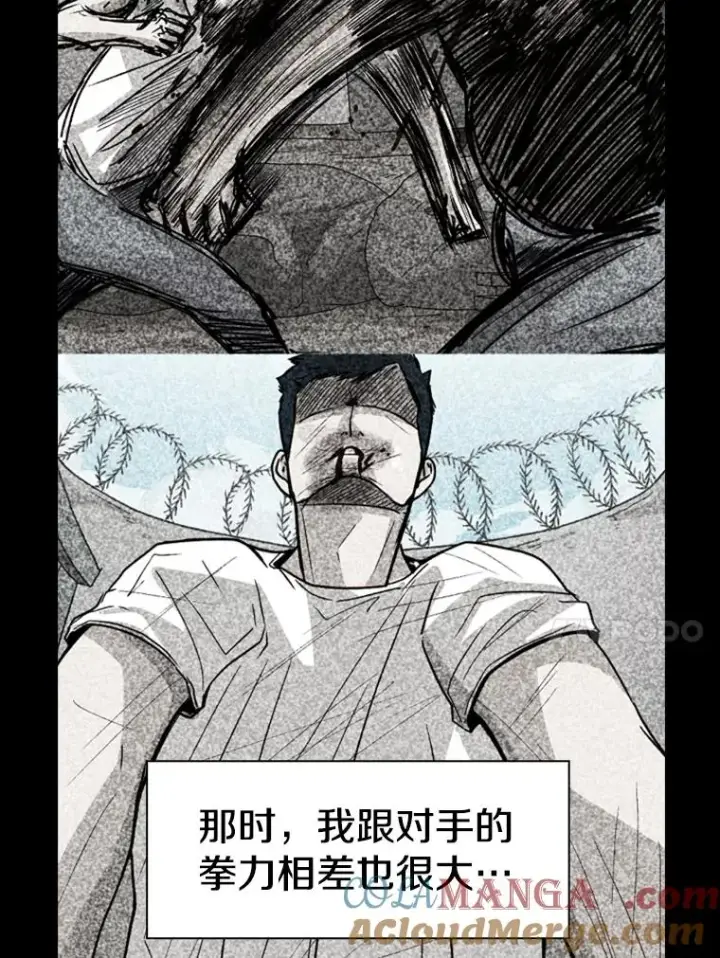 《鲨鱼》241.最终的胜利图149