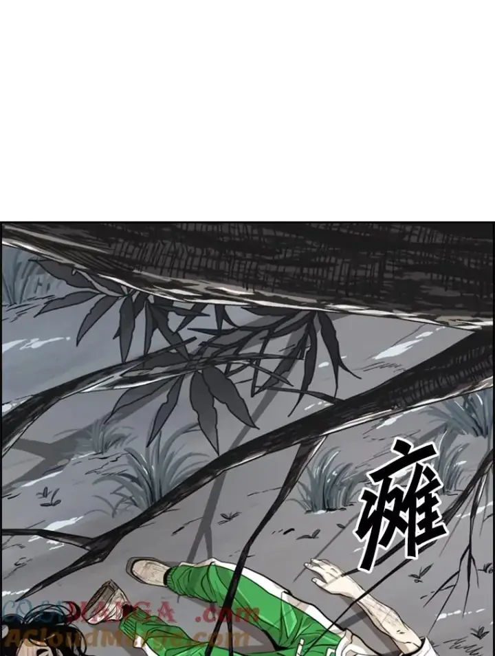 《鲨鱼》242.重回擂台的决心图9