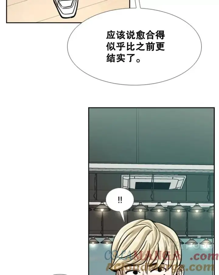 《鲨鱼》242.重回擂台的决心图93