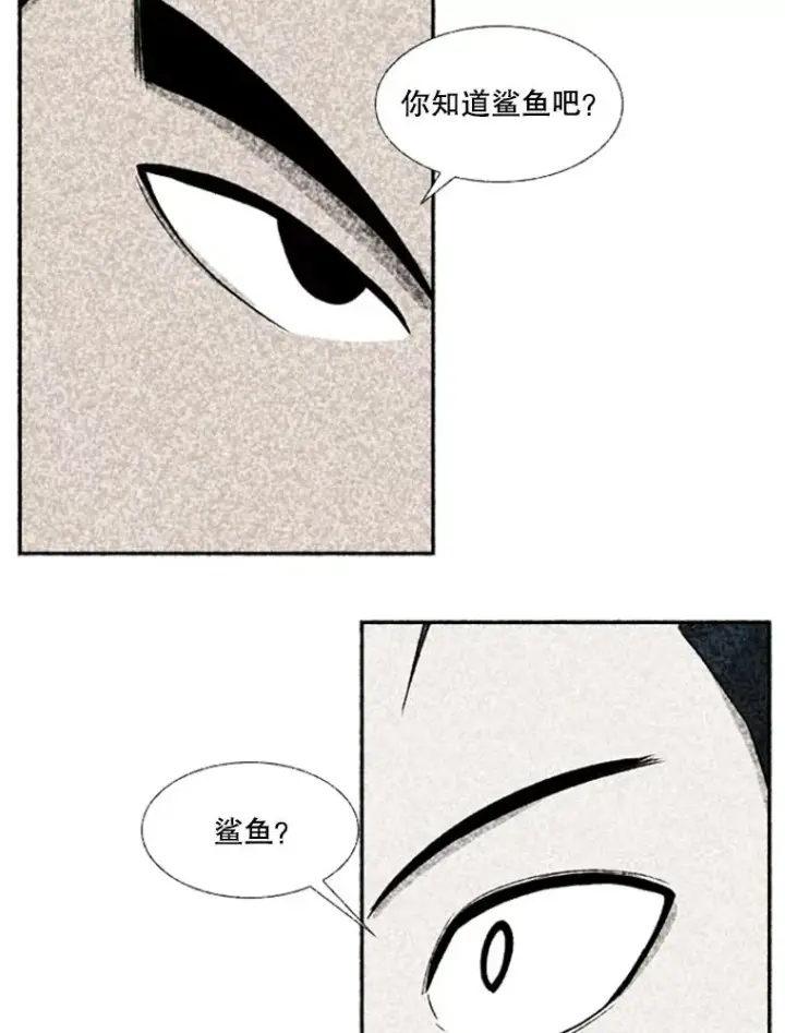 《鲨鱼》244.职业赛首秀图72
