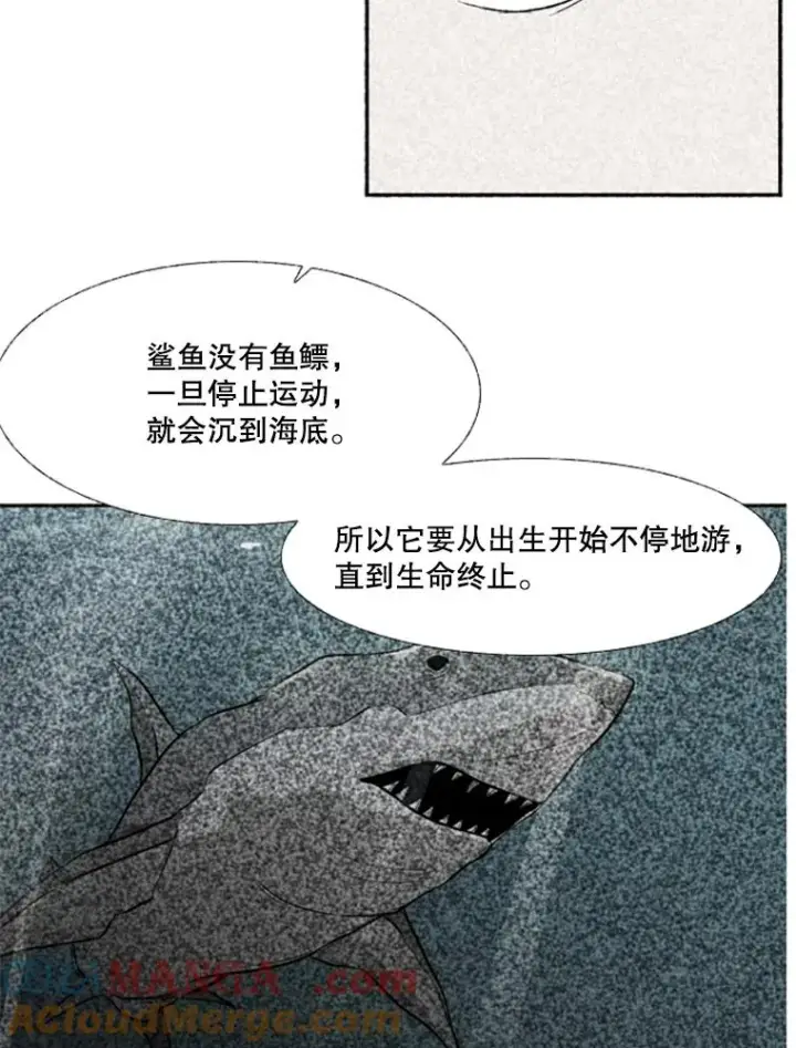 《鲨鱼》244.职业赛首秀图73