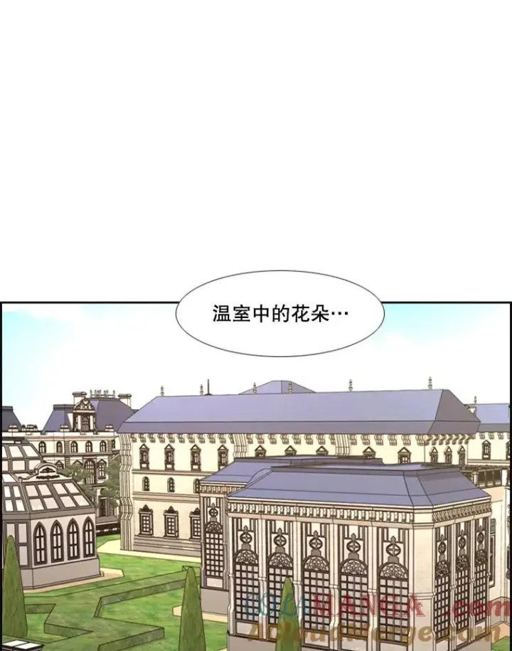 《鲨鱼》246.天才与天才的对战图61