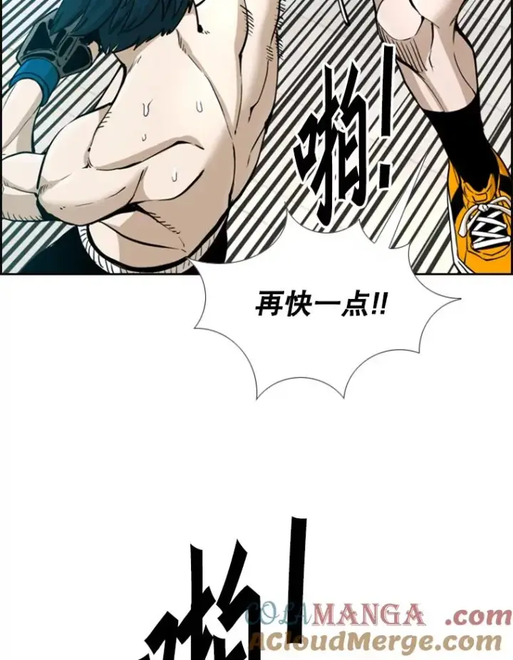 《鲨鱼》247.对战宣言图101