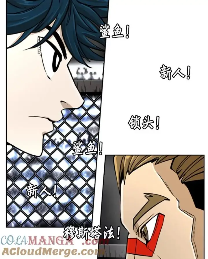 《鲨鱼》248.TKO胜图21