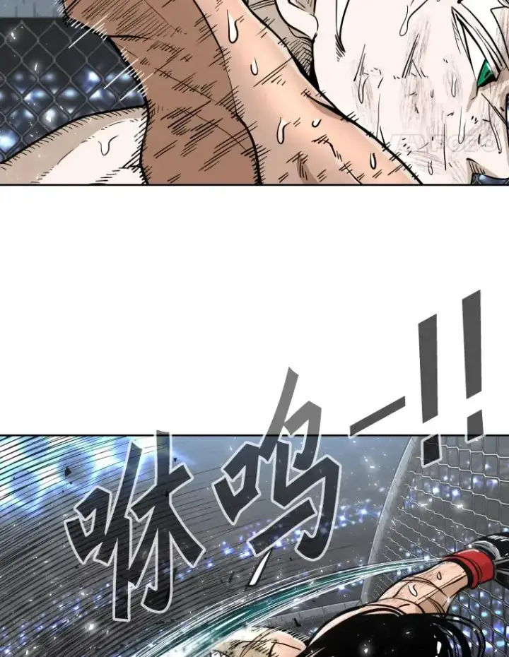 《鲨鱼》255.反转图87