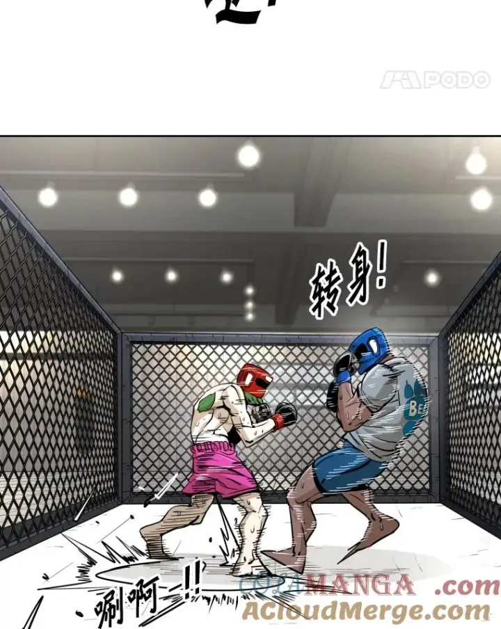 《鲨鱼》260.巴西利的优势图61