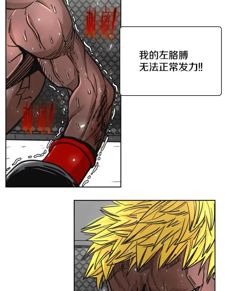 《鲨鱼》268.芝佳阁对战TKO胜图39