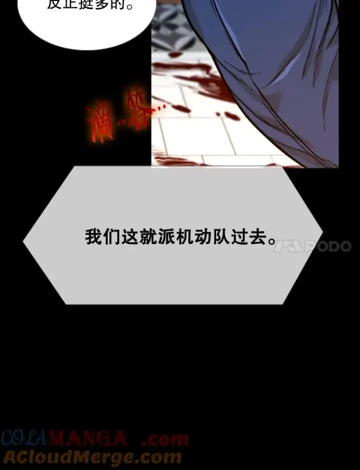 《鲨鱼》276.华金受伤的经过图113