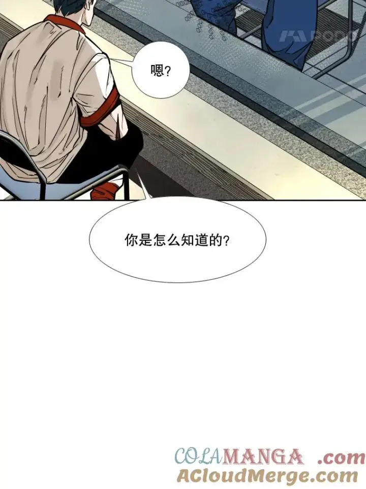 《鲨鱼》278.擂台赛准备图21