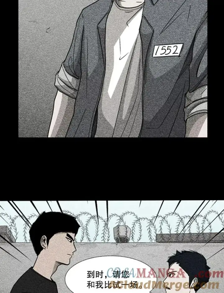 《鲨鱼》278.擂台赛准备图33