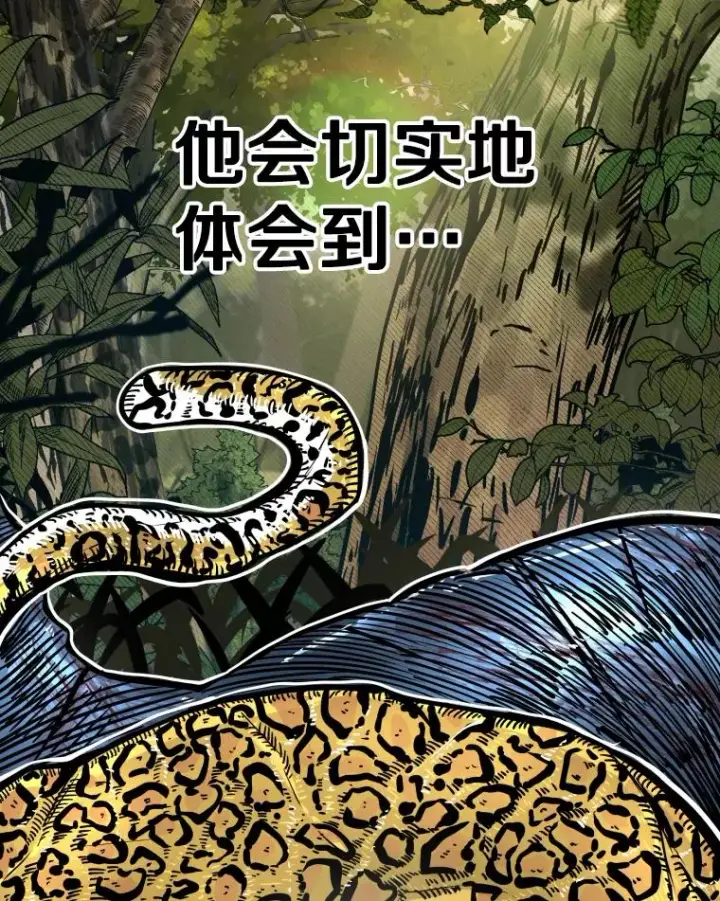 《鲨鱼》278.擂台赛准备图52