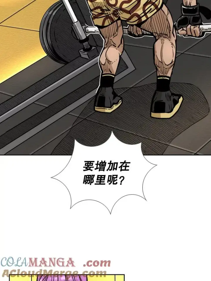 《鲨鱼》278.擂台赛准备图65