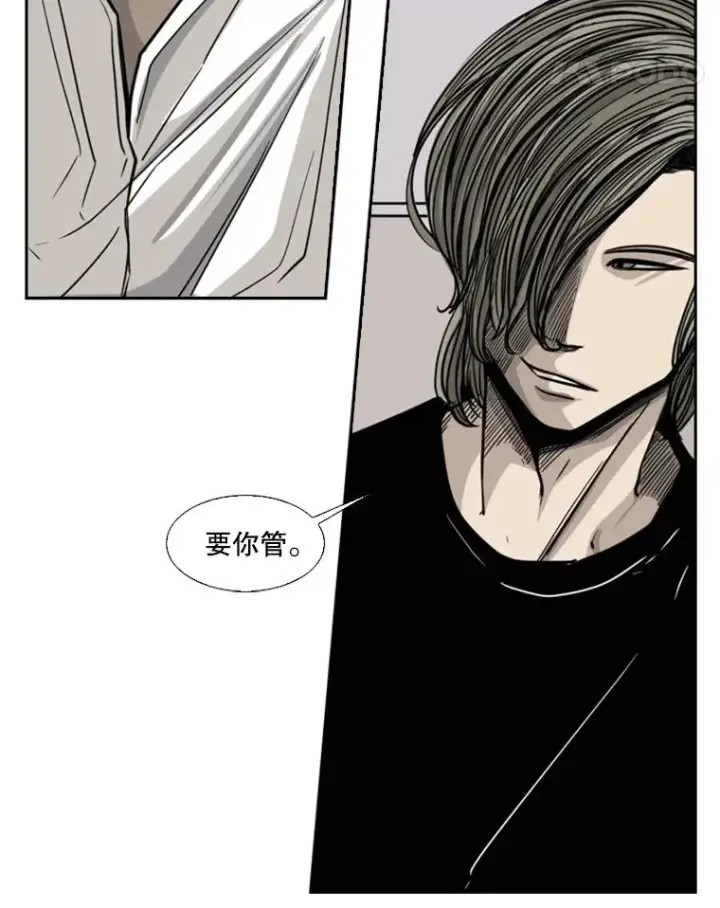 《鲨鱼》53.我叫苏胜宸图16