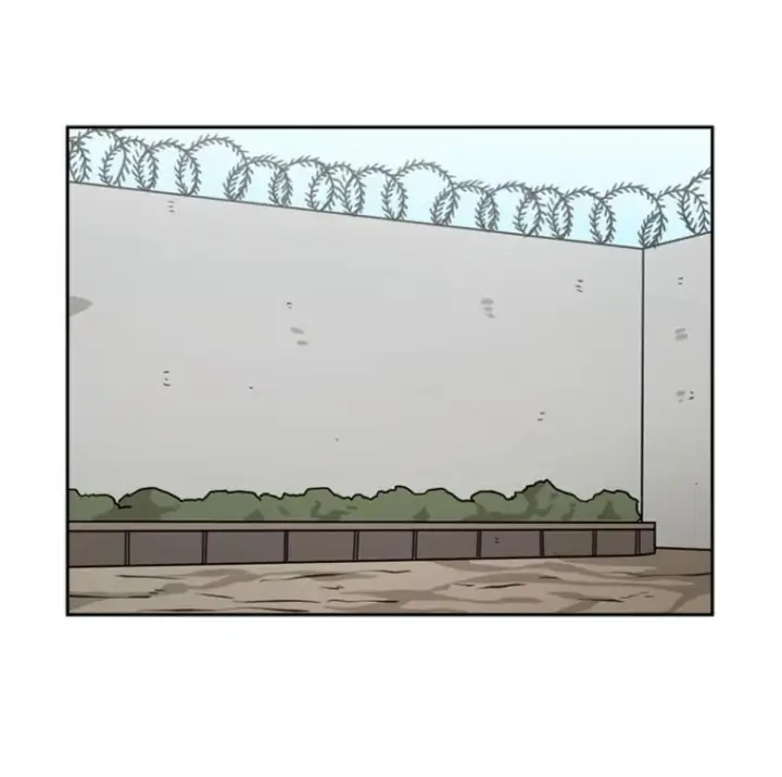 《鲨鱼》53.我叫苏胜宸图78