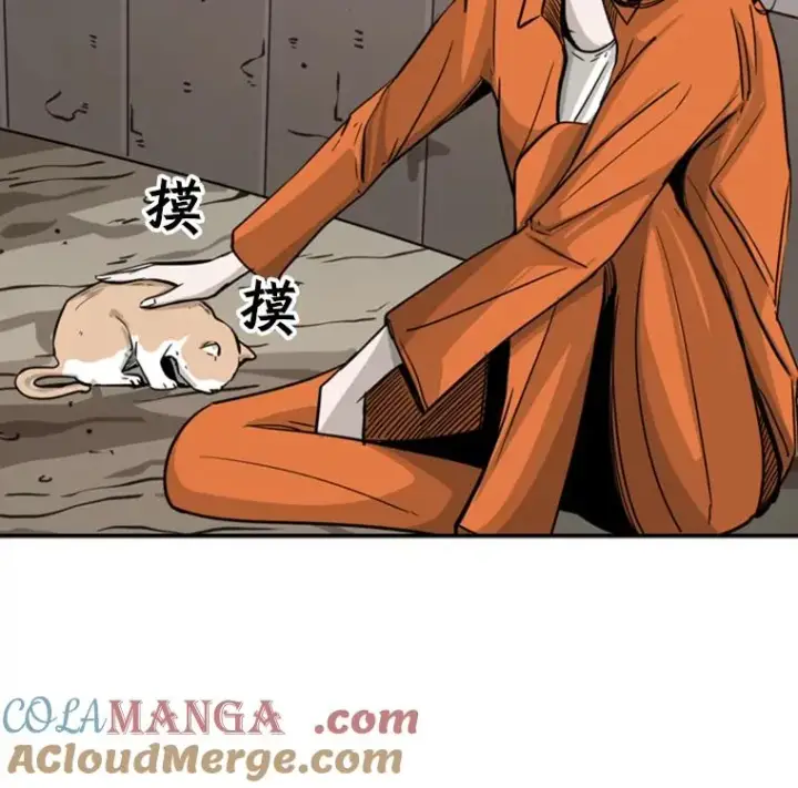 《鲨鱼》53.我叫苏胜宸图93