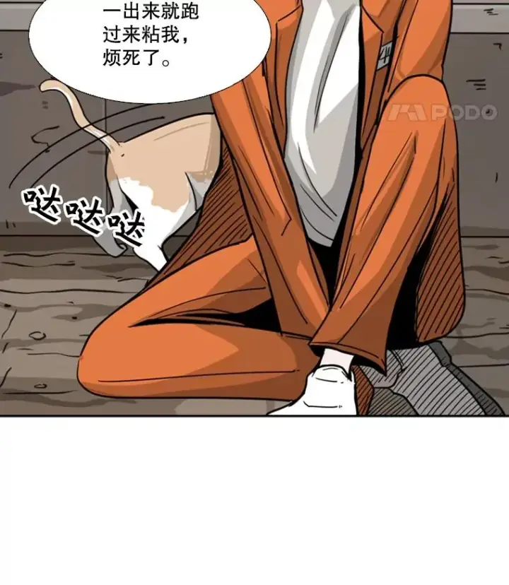 《鲨鱼》53.我叫苏胜宸图96