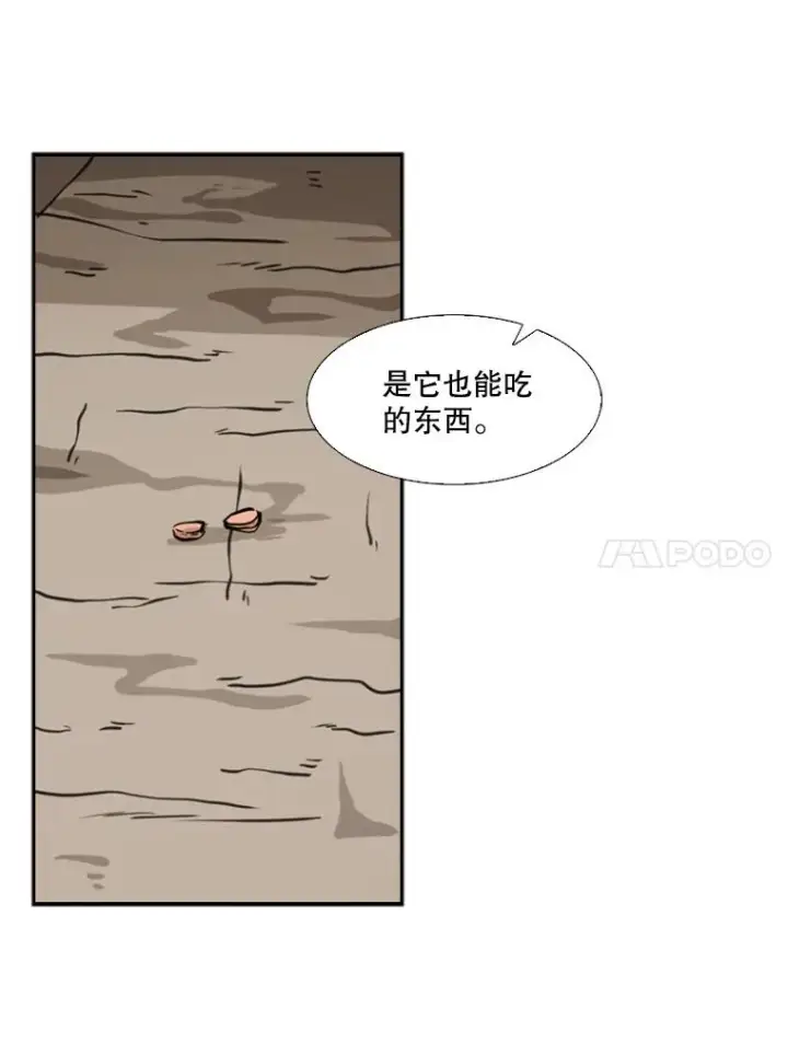 《鲨鱼》53.我叫苏胜宸图99