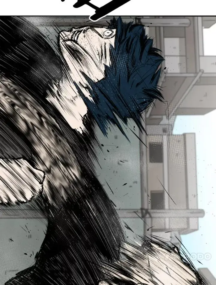 《鲨鱼》62.正面交锋图127