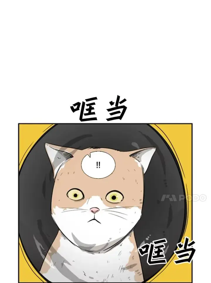 《鲨鱼》62.正面交锋图28
