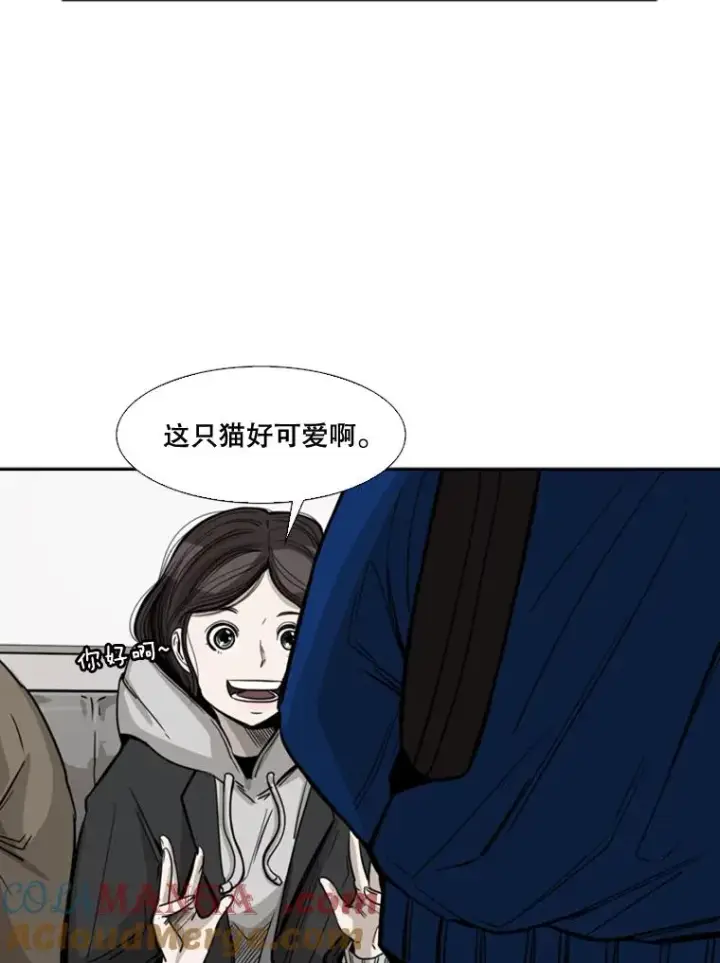 《鲨鱼》62.正面交锋图29