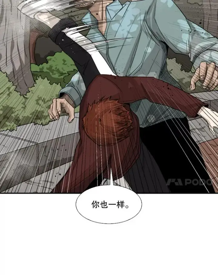 《鲨鱼》62.正面交锋图68