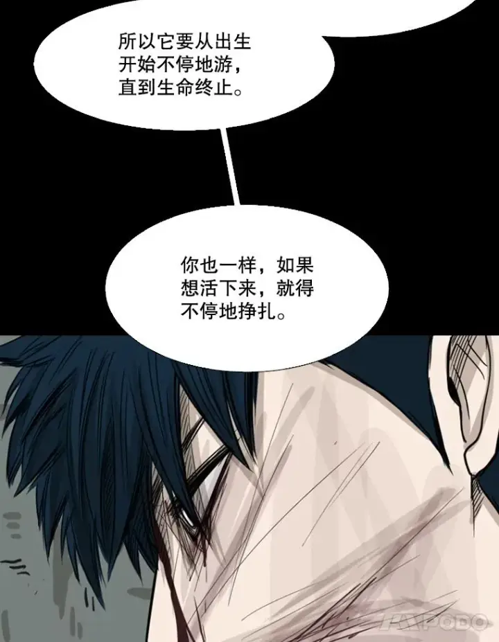 《鲨鱼》64.正面交锋（3）图95