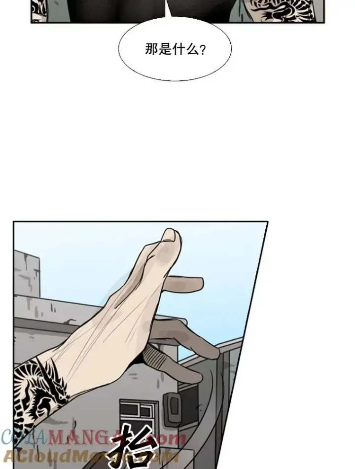 《鲨鱼》65.最后武器图141