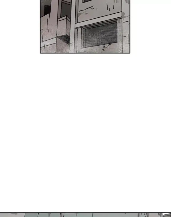 《鲨鱼》66.分出胜负图103