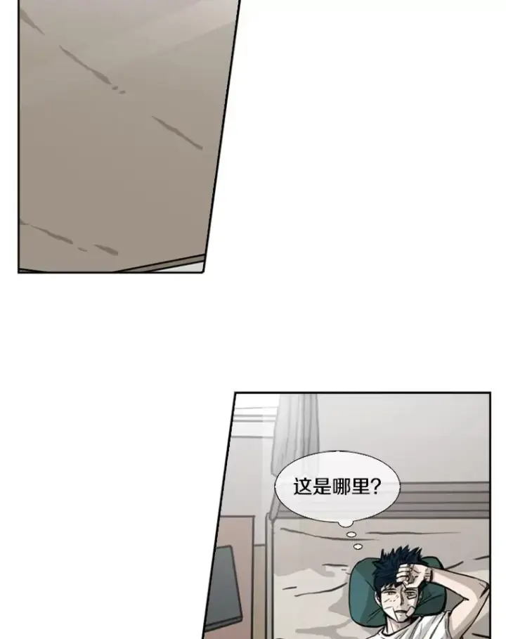 《鲨鱼》67.新的开始图14