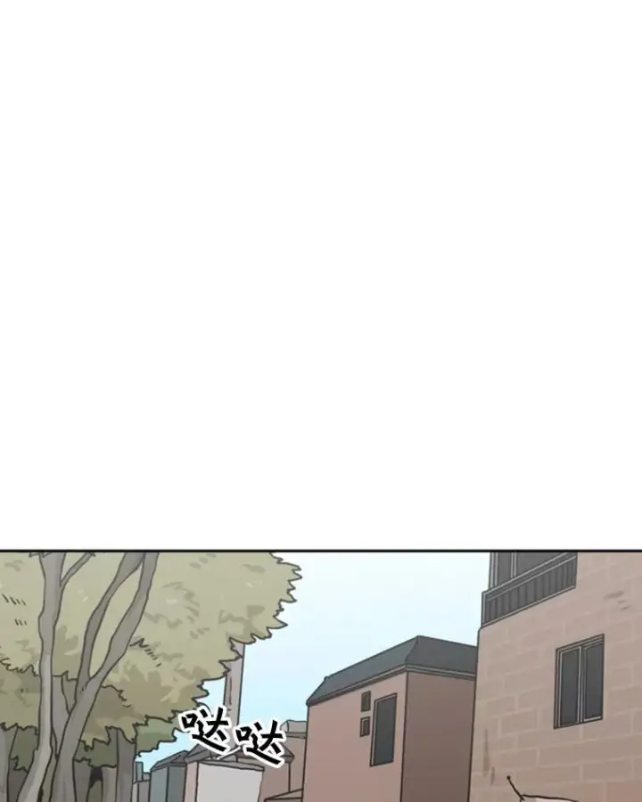 《鲨鱼》67.新的开始图28