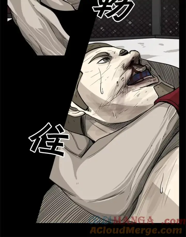 《鲨鱼》67.新的开始图89