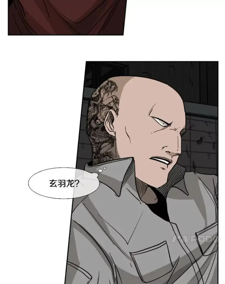 《鲨鱼》71.试探实力图119